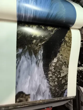 Zones humides litorals un privilegi valencià