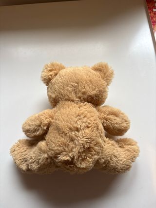 Oso de peluche pequeño