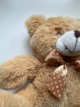 Oso de peluche pequeño