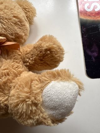 Oso de peluche pequeño