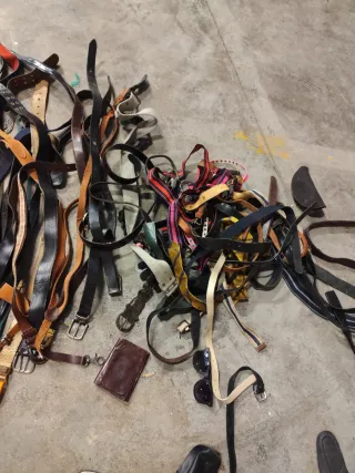 Lote de cinturones variados