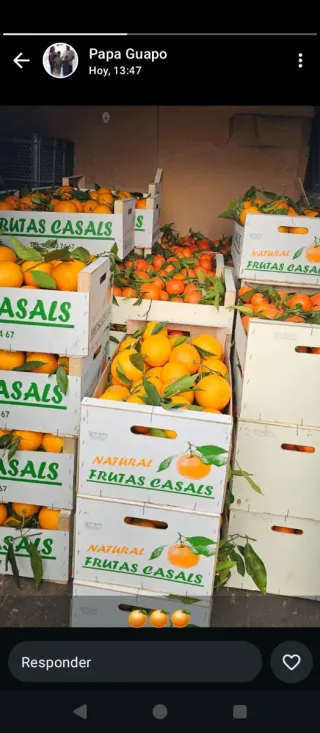 4klmandarina 5e 3klnaranja 5e