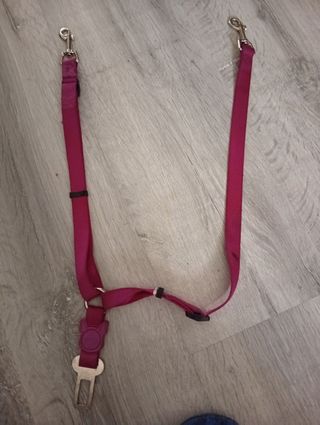 Correa doble para coche de perro