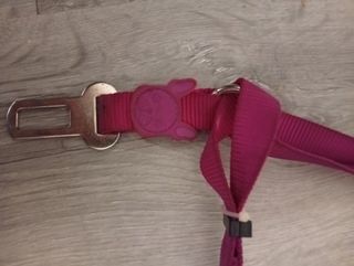 Correa doble para coche de perro