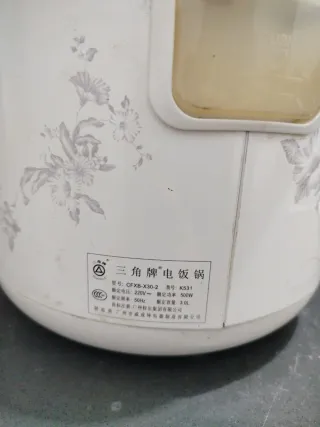 Arrocera Eléctrica Triangle 3L