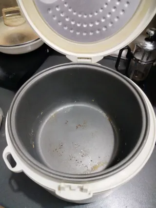 Arrocera Eléctrica Triangle 3L