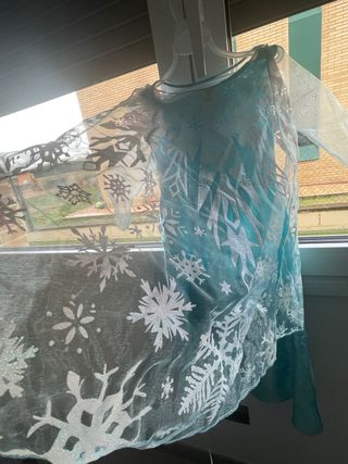 Disfraz Fozen + Peluca