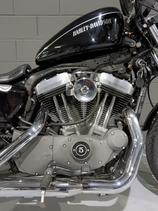 Harley Davidson Sportster Nightster