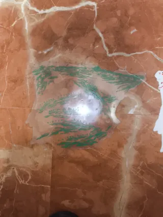 Mapa Nacional Español de Ríos y Relieves