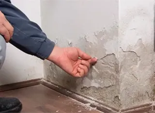 Reparación humedades pintor