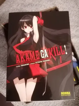 Mangas Akame ga kill
