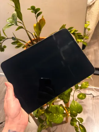 iPad Pro 11 256GB WiFi