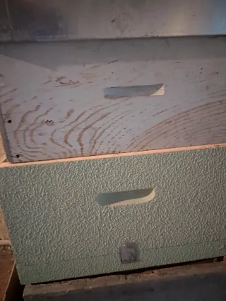 Colmenas y alzas apícolas