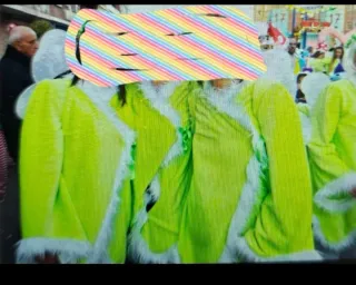 Disfraz Hada del Bosque Talla Única