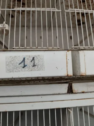 Batteria 5 gabbie 90