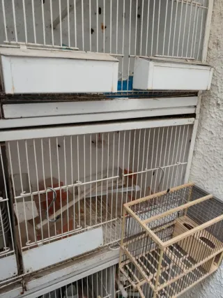 Batteria 5 gabbie 90