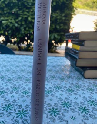 L'anima è un lenzuolo bianco