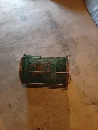 Cesta de pesca de acero inoxidable