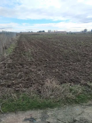 Finca Rústica 3000m² en Peralta/Navarra.