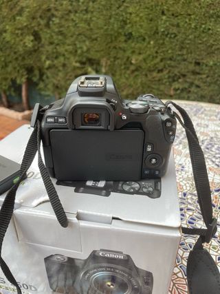 Kit Canon EOS 250D Negra