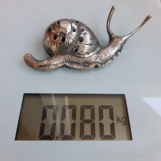 Palillero caracol coleccionista