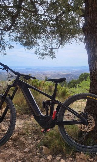 Bicicleta Eléctrica Giant Reign +2