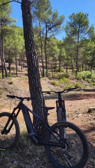 Bicicleta Eléctrica Giant Reign +2