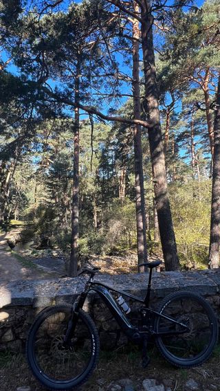 Giant Trance X E+ 3 Pro 29er Talla XL Eléctrica