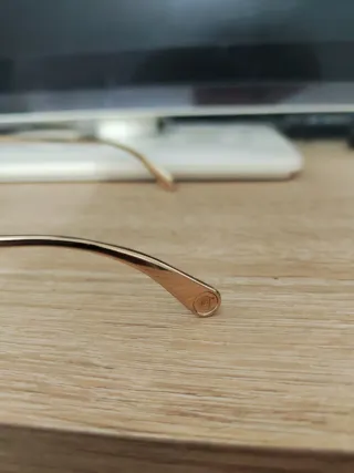 Gafas de sol Versace VE2231 metal dorado