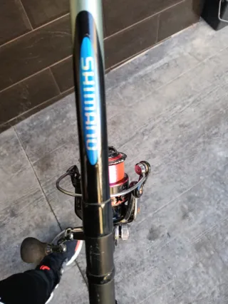 Caña de pescar Shimano
