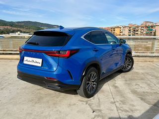 Lexus NX 2024