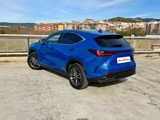 Lexus NX 2024