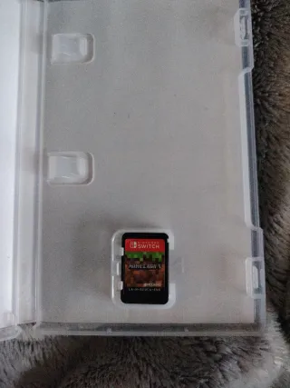 Minecraft Nintendo Switch