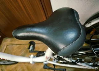 Bicicleta plegable F-Park 24 pulgadas