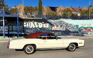 Cadillac Eldorado  1981