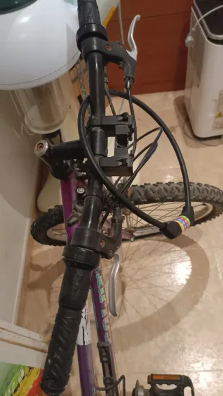 Bicicleta Adolescente y Adulto Morada