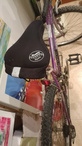 Bicicleta Adolescente y Adulto Morada