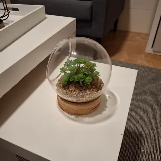 Farol decorativo y planta artificial