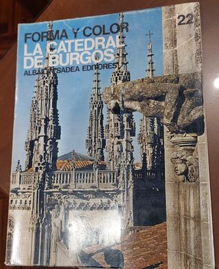 REVISTAS "FORMA Y COLOR". VARIOS NÚMEROS