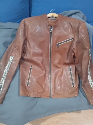 Chaqueta Piel Spirit of SPS Springfield