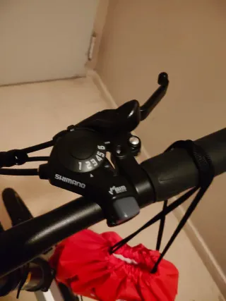 Bicicleta Eléctrica SmartGyro Crosscity Plata