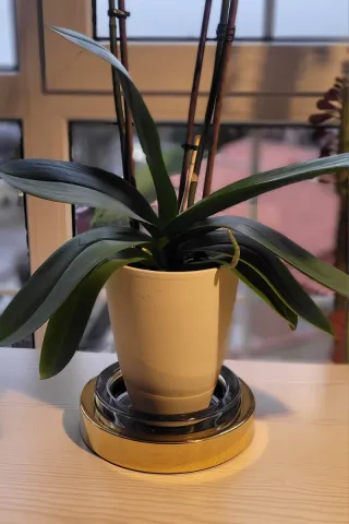 Cenicero Cristal y Latón