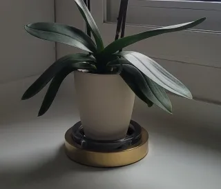 Cenicero Cristal y Latón