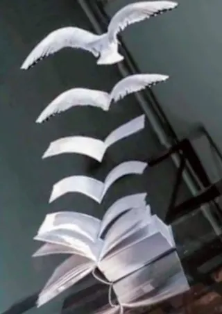 Editing. Lettura e correzione bozze.