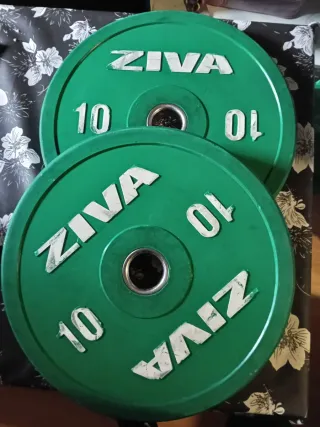 2 discos ZIVA 10 kg verdes