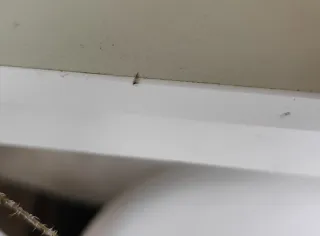 Mesa Ikea Tonstad Blanca + 2 Sillas estilo nórdico