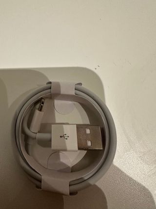 Cavo di ricarica Apple iPhone USB