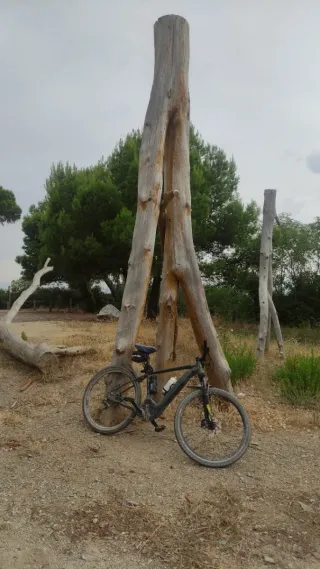 Bicicleta eléctrica  Specialized turbo levo