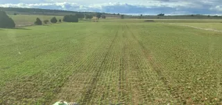 Sembradora  siembra diresta Sola SM 1909