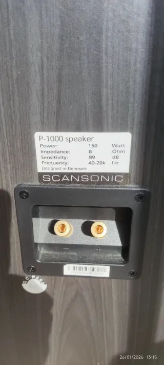 Altavoces Scansonic P-1000 Negro/Gris